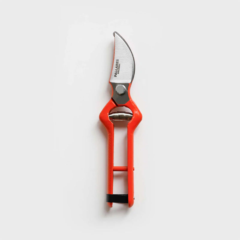 Pruning Shears | 22cm Carbon Steel