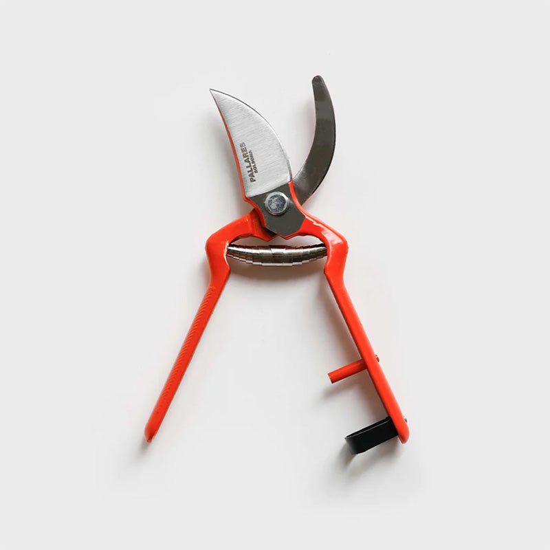 Pruning Shears | 22cm Carbon Steel