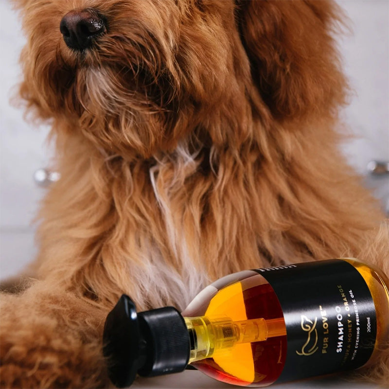 Dog Shampoo | Manuka Honey