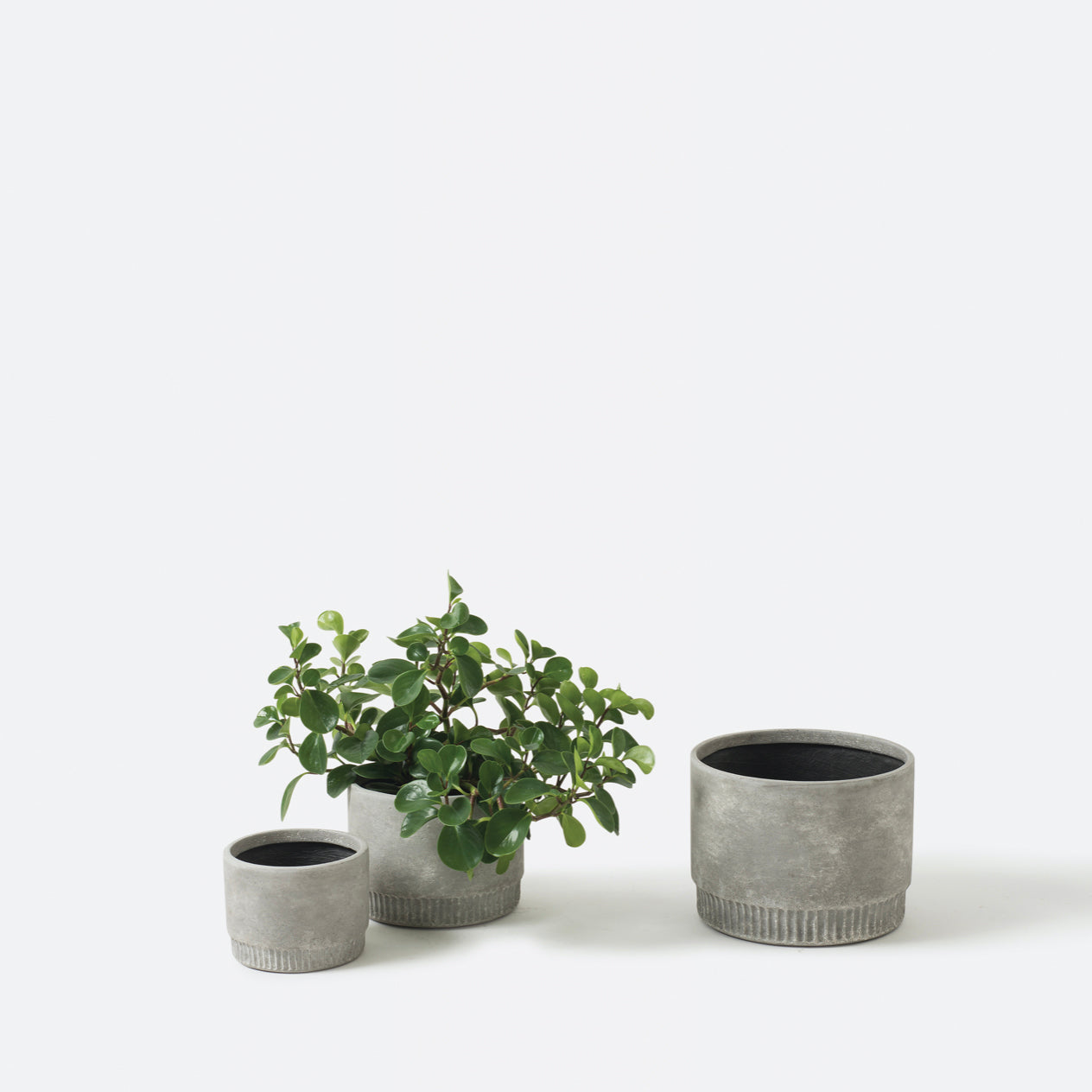 Harvest Planter | S