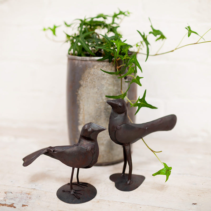 Iron Birds | Set of 2