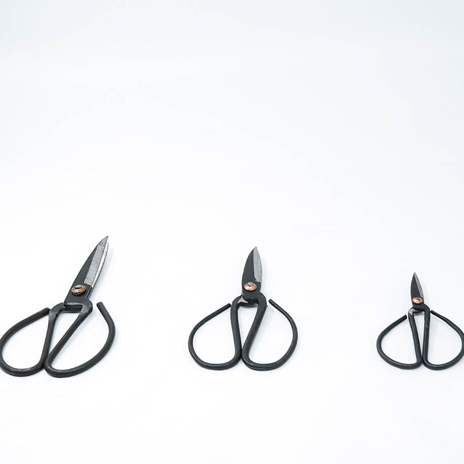 Bonsai Herb Scissors (L)