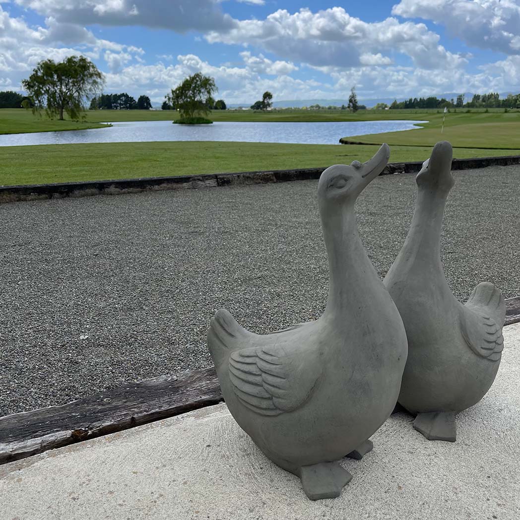Garden Goose
