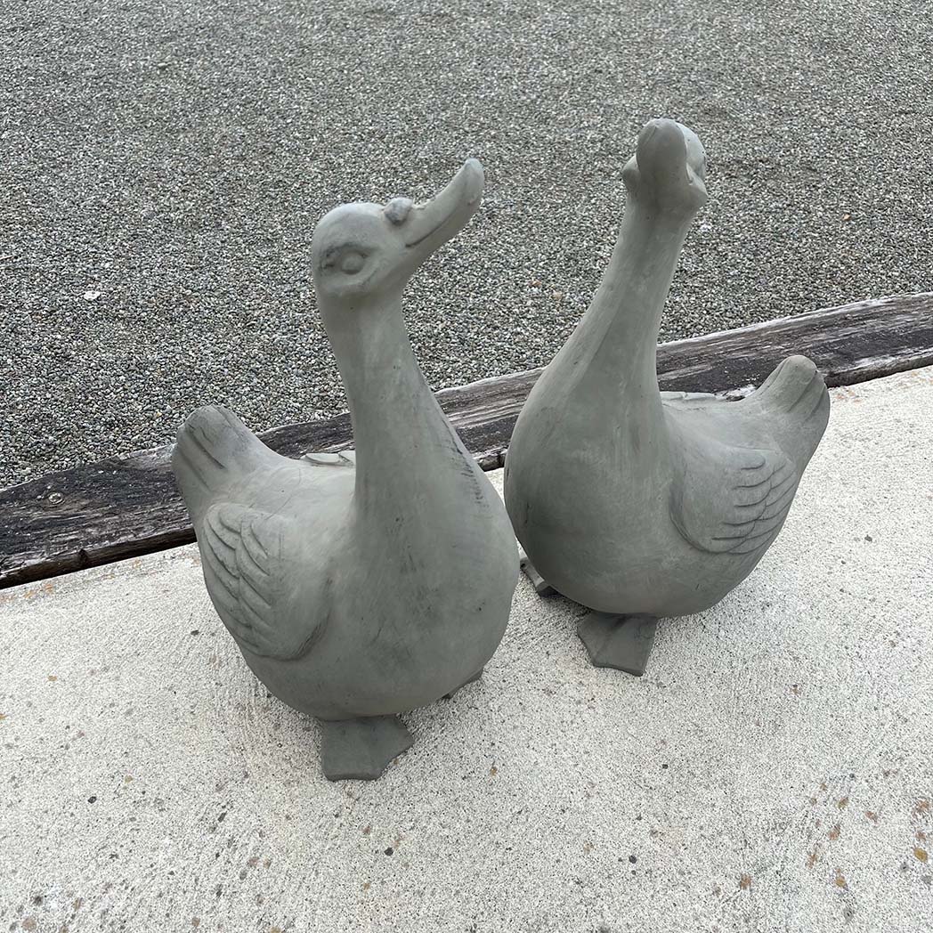Garden Goose