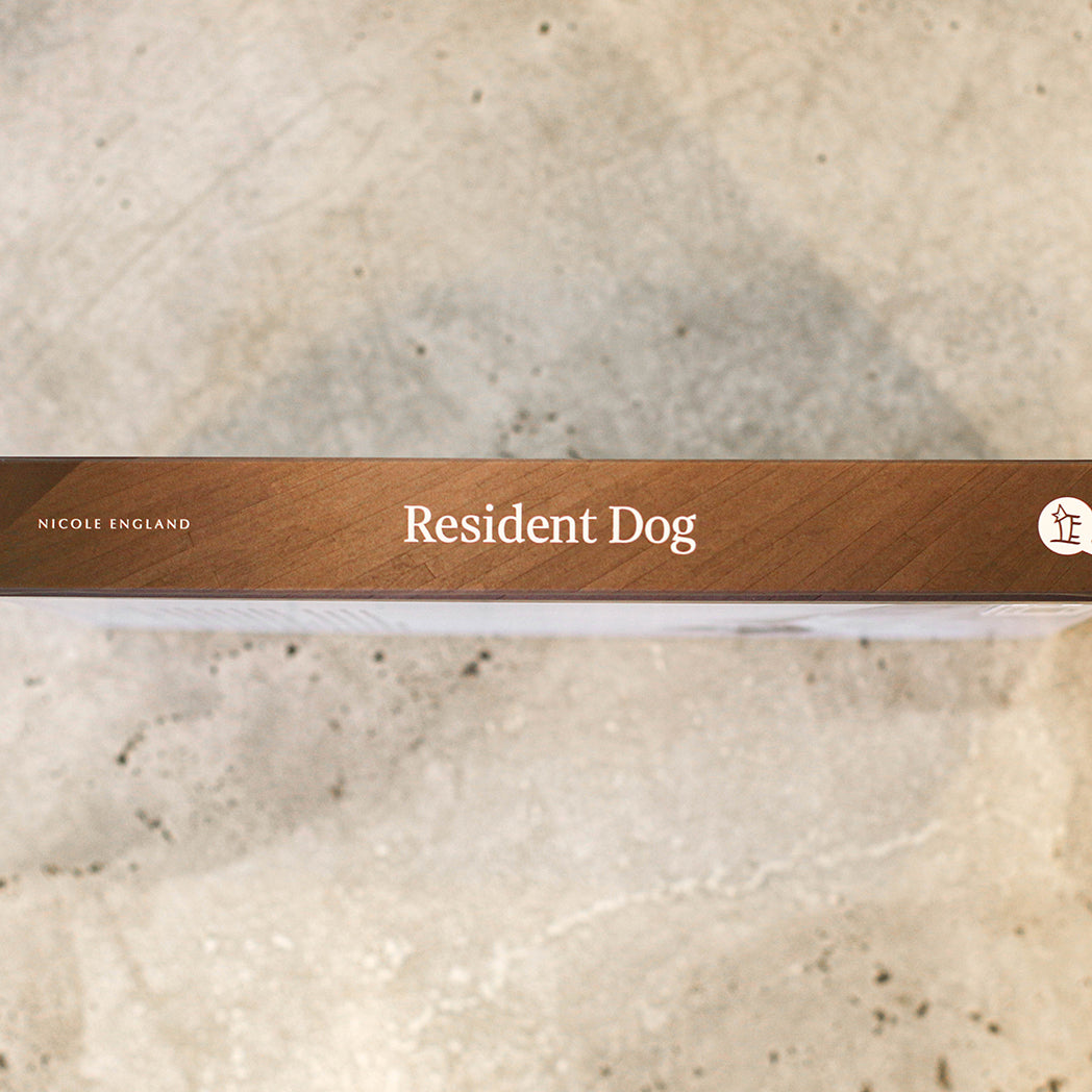 Resident Dog | By Nicole England