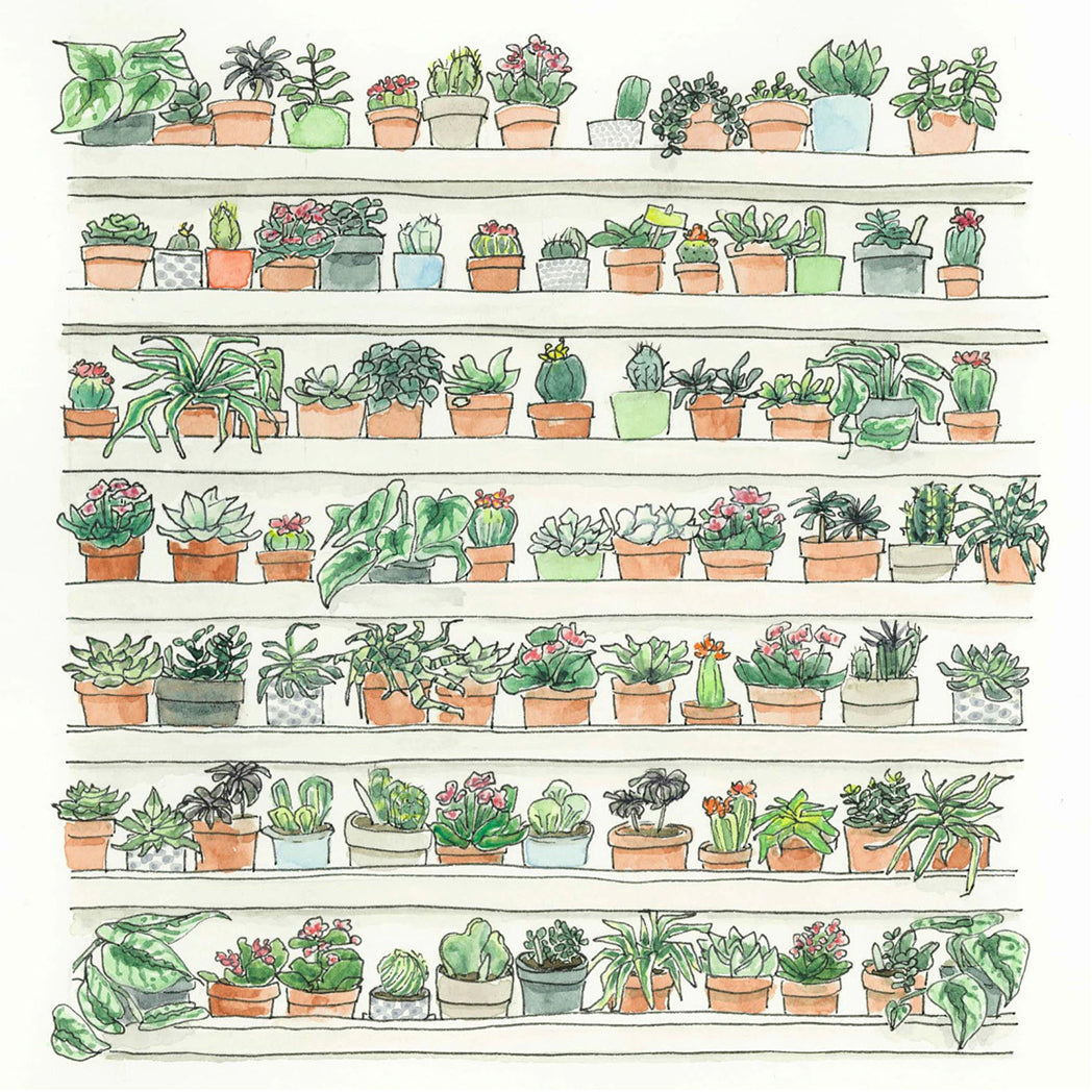 Plant Wall | Greeting Card